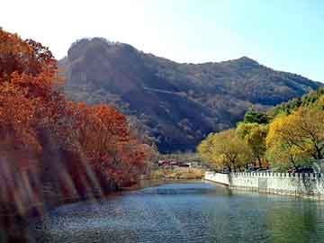 新澳天天开奖资料大全旅游团，车队用油